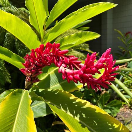 Kona Magic Ali'I - Top Floor Views, Pool, Beach, Sunsets Kailua-Kona Exterior photo